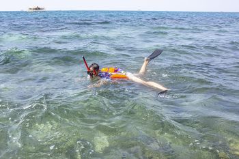 Potensi Wisata Snorkeling