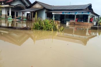 Puluhan rumah di Mesuji terendam banjir ketinggia tiga meter