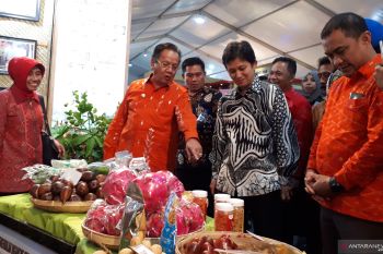 Sulteng Expo 2019 libatkan 14 UMKM handiraft