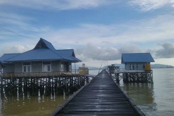 Panwaslu KK pantau pemungutan suara di perkebunan sawit