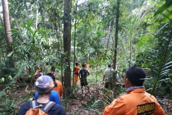 Tersesat semalam, pencari rotan Kolaka Timur ditemukan