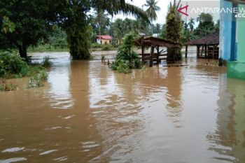 Banjir landa  Pasaman Barat 100 unit rumah tergenang