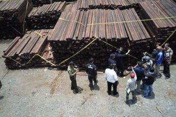Kasus 81 kontainer kayu ilegal asal Papua segera disidangkan