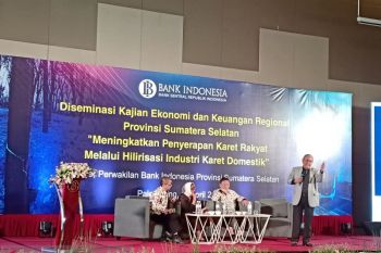 Asosiasi: Pabrik ban terlalu dini, perkuat sektor hulu dulu