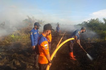 Riau sumbang titik panas terbanyak di  Sumatera