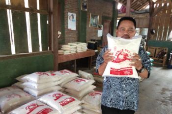 Gapoktan Patalan Bantul diusulkan dapat penghargaan pertanian DIY