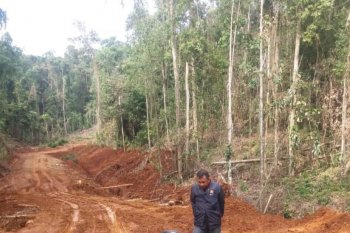 Gairah berdemokrasi dari Lembah Lalomerui