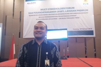 11.000 rumah tangga miskin di NTT dapat sambungan listrik gratis