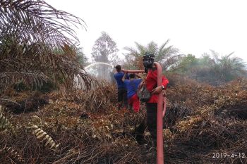 Kebakaran lahan sawit  di Aceh Selatan belum padam