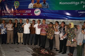 Indonesia Ekspor Komoditas Pisang dan Nanas ke China dan Spanyol