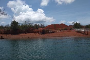 Aktivitas tambang bauksit di Bintan berhenti (video)