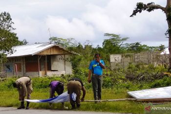 Bawaslu Biak Numfor bersihkan APK caleg dan parpol