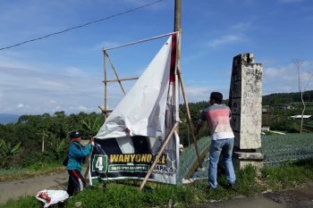 Puluhan ribu APK di Wonosobo diturunkan