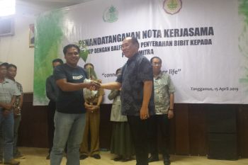 Petani di Tanggamus Terima Bantuan Ribuan Benih Buah-buahan