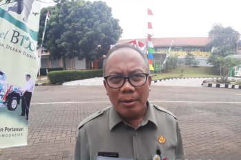 Kementan: B100 ciptakan peluang pasar baru bagi pekebun sawit