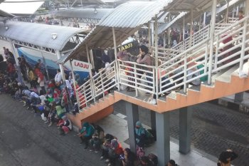 Penumpang bus keluhkan sulitnya mendapatkan armada