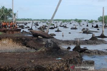 26 orang dari sejumlah kementerian tinjau abrasi di Bengkalis