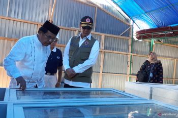 BNPB: pihak yang hambat pembebasan lahan relokasi di Palu akan dipidana