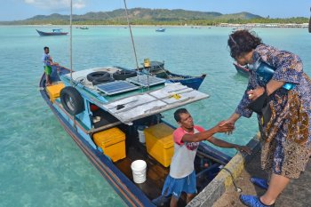 Pembenahan tata kelola perikanan harus berlanjut