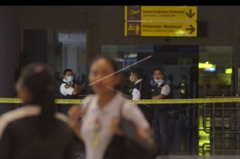 19 penerbangan alami keterlambatan akibat kebakaran di Bandara Ngurai Rai, Bali