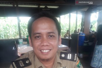 Sebelas perusahan sawit di Pasaman Barat terima penghargaan tanpa kecelakaan kerja