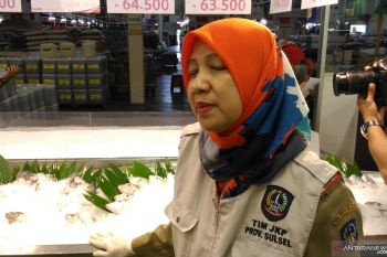Stok ikan di Makassar aman jelang Ramadhan