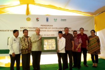 Begini cara UNDP-Yayasan Tanoto tingkatkan ekonomi petani sawit Kabupaten Pelalawan