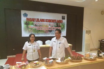 Jagung Dominasi Transaksi PLKA Pertama 2019