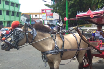 The emergence of negative impact modern transportation in traditional transportation