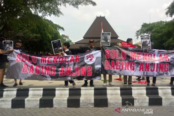 Aktivis: Konsumsi daging anjing di Solo naik drastis