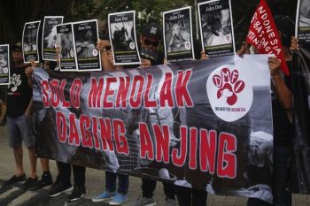 Aksi setop konsumsi daging anjing