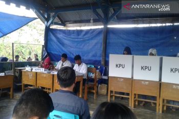 Wawali Baubau: wajar, perbedaan pilihan