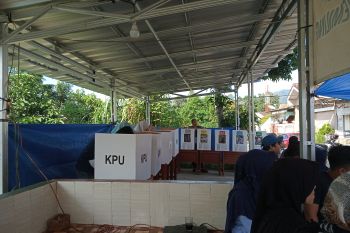 Satu Petugas PPS di Lampung Timur meninggal dunia