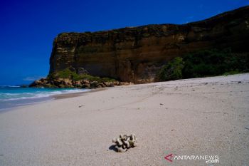 Lombok Timur ternyata punya "grand canyon"