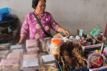 Peneliti dalami khasiat "keperkasaan" obat tradisional Kalteng