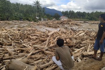 Bupati Sigi: hentikan penebangan liar (vidio)