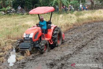 Luas tanam padi Bantul pada April 2019 berkurang 500 hektare