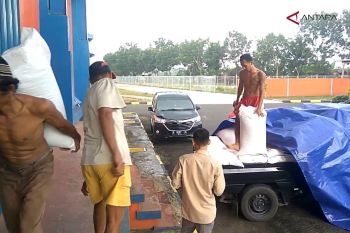 Video - Penyerapan perdana beras PSO oleh Bulog Subdivre Banyumas