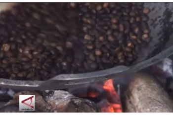 Kopi Robusta Dengan Rasa Arabika