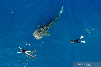 Deputi BI menilai pariwisata Gorontalo indah dan unik