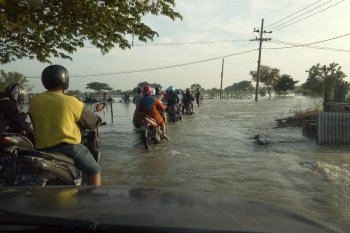 Banjir landa Gresik, satu orang tewas
