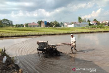 Dinas Pertanian Sleman menargetkan olah lahan 6.200 hektare