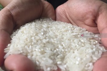Kemendag komitmen jaga stabilitas harga kebutuhan pokok