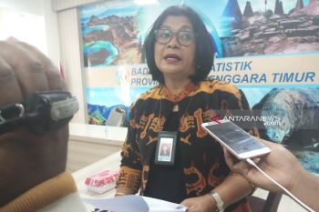 Transportasi berandil memicu terjadinya inflasi di NTT