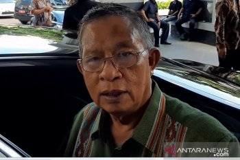 Darmin Nasution: Indonesia-Uni Eropa  bentuk tim bersama terkait persoalan sawit