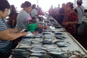 Pemerintah siapkan Rp3,6 miliar untuk nelayan di Sangihe
