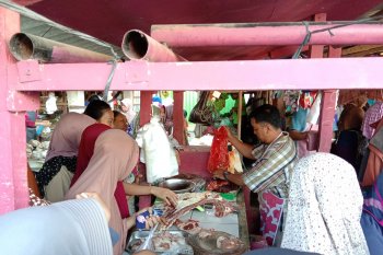 Harga daging sapi di Bandarlampung mencapai Rp140.000 per kg