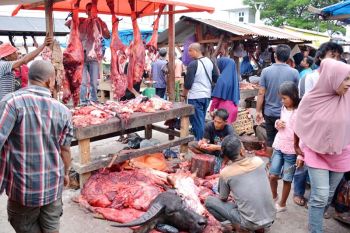 Tradisi "meugang" potong 80 sapi di Sabang