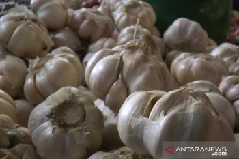 Bawang putih impor disukai kosumen di Kota Mataram