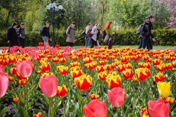 Ukraine marks the anniversary of the adoption of its Constitution